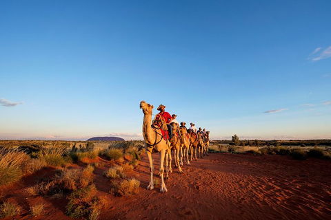 Uluru Small-Group Tour By Camel At Sunrise Or Sunset - Accommodation VIC 0