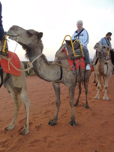 Uluru Small-Group Tour By Camel At Sunrise Or Sunset - Accommodation VIC 2