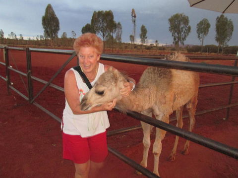Uluru Small-Group Tour By Camel At Sunrise Or Sunset - Accommodation VIC 18