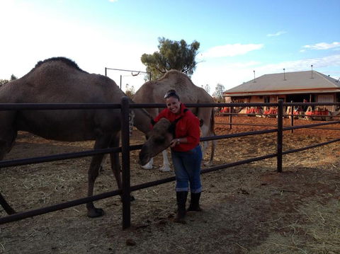 Uluru Small-Group Tour By Camel At Sunrise Or Sunset - Accommodation VIC 21