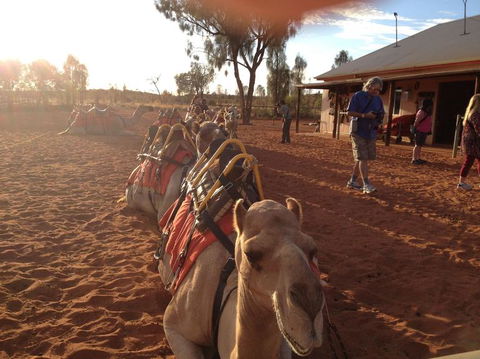 Uluru Small-Group Tour By Camel At Sunrise Or Sunset - Accommodation VIC 22