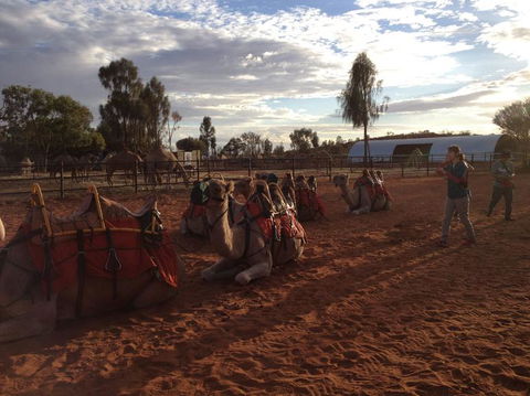 Uluru Small-Group Tour By Camel At Sunrise Or Sunset - Accommodation VIC 23