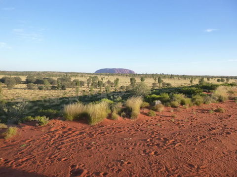Uluru Small-Group Tour By Camel At Sunrise Or Sunset - Accommodation VIC 9