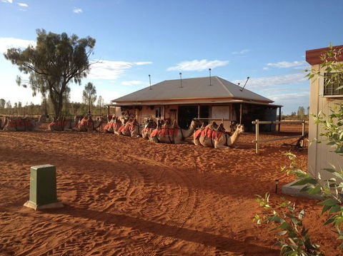 Uluru Small-Group Tour By Camel At Sunrise Or Sunset - Accommodation VIC 19