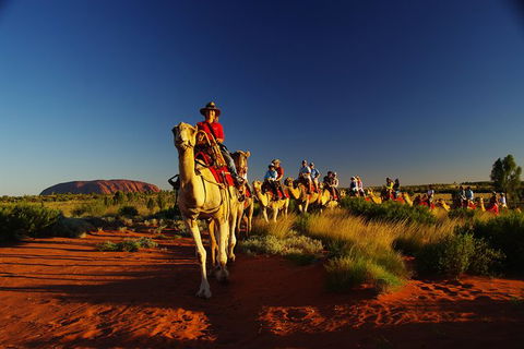 Uluru Small-Group Tour By Camel At Sunrise Or Sunset - Accommodation VIC 29