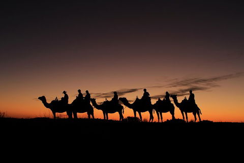 Uluru Small-Group Tour By Camel At Sunrise Or Sunset - Accommodation VIC 27