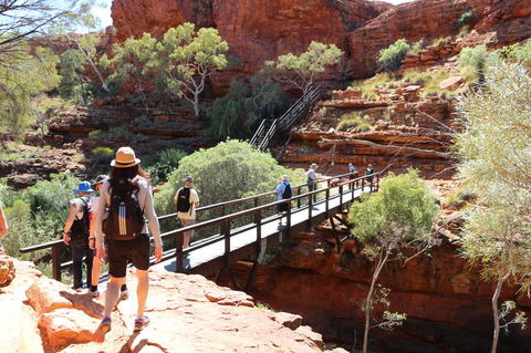 Kings Canyon Day Trip From Ayers Rock - Accommodation VIC 19