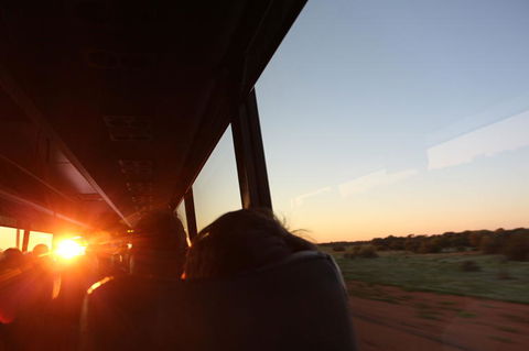 Kings Canyon Day Trip From Ayers Rock - Accommodation VIC 22