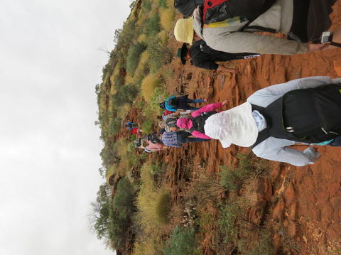 Kings Canyon Day Trip From Ayers Rock - Accommodation VIC 14