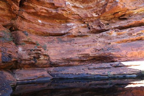 Kings Canyon Day Trip From Ayers Rock - Accommodation VIC 16