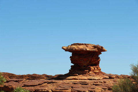 Kings Canyon Day Trip From Ayers Rock - Accommodation VIC 17