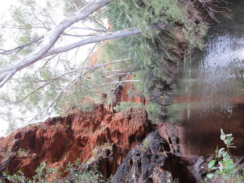 Kings Canyon Day Trip From Ayers Rock - Accommodation VIC 11