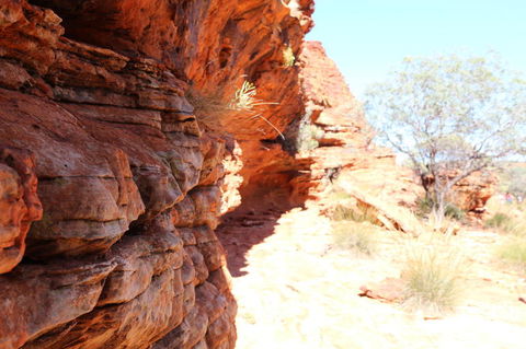 Kings Canyon Day Trip From Ayers Rock - Accommodation VIC 20