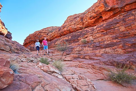 Kings Canyon Day Trip From Ayers Rock - Accommodation VIC 31
