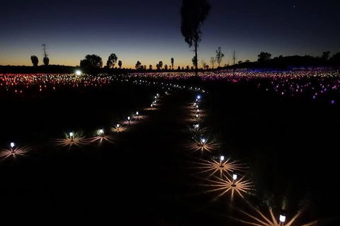 Uluru Field Of Light Sunrise Tour - Accommodation VIC 2