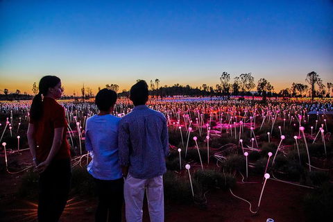 Uluru Field Of Light Sunrise Tour - Accommodation VIC 0
