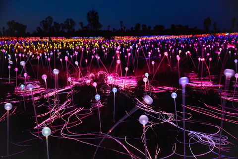 Uluru Field Of Light Sunrise Tour - Accommodation VIC 1