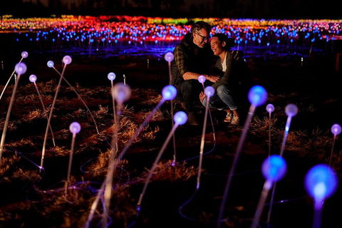 Uluru Field Of Light Sunrise Tour - Accommodation VIC 6