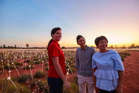 Uluru Field Of Light Sunrise Tour - Accommodation VIC 11