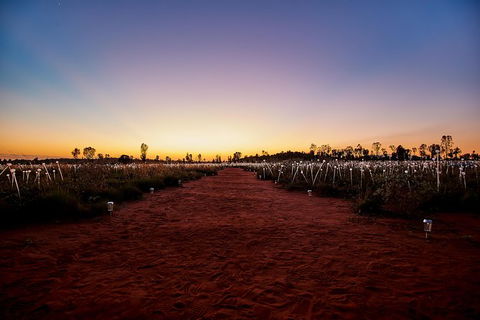 Uluru Field Of Light Sunrise Tour - Accommodation VIC 14