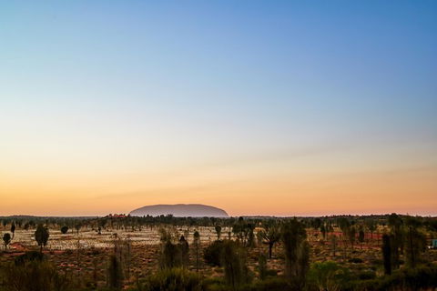 Uluru Field Of Light Sunrise Tour - Accommodation VIC 12