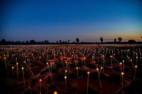 Uluru Field Of Light Sunrise Tour - Accommodation VIC 7