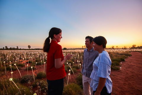 Uluru Field Of Light Sunrise Tour - Accommodation VIC 9