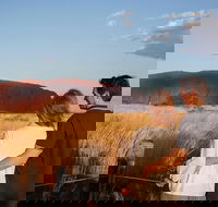 Uluru Ayers Rock Sunset with Outback Barbecue Dinner and Star Tour - Accommodation VIC