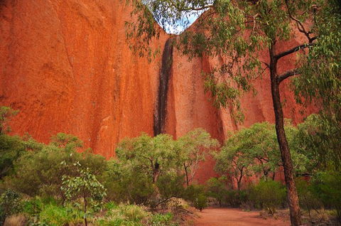Uluru Sunrise And Guided Base Walk - Accommodation VIC 14