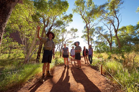 Uluru Small Group Tour Including Sunset - Accommodation VIC 5