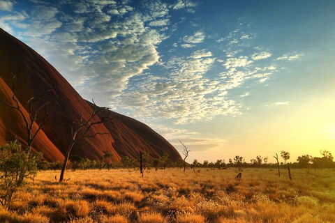 Highlights Of Uluru Including Sunrise And Breakfast - Accommodation VIC 5