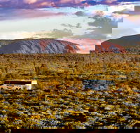 Alice Springs to Uluru Ayers Rock One Way Shuttle - Accommodation VIC