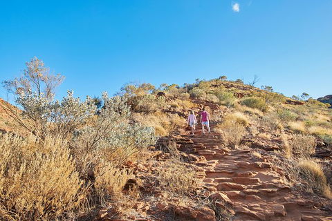 Kings Canyon Guided Rim Walk - Accommodation VIC 5