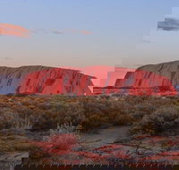 3-Day Uluru Camping Tour from Alice Springs Including Kata Tjuta and Kings Canyon - Accommodation VIC