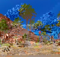 Palm Valley 4WD Tour from Alice Springs - Accommodation VIC