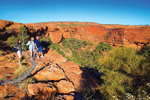 Coach Transfer From Ayers Rock To Kings Canyon - Accommodation VIC 6