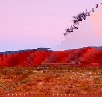 Best of Ayers Rock Sunset Uluru and Sunrise Kata Tjuta Small Group Tours - Accommodation VIC