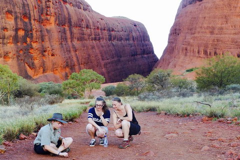 Afternoon Kata Tjuta Small Group Tour - Accommodation VIC 7