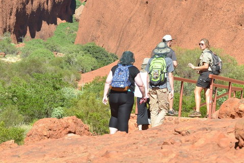 Afternoon Kata Tjuta Small Group Tour - Accommodation VIC 9