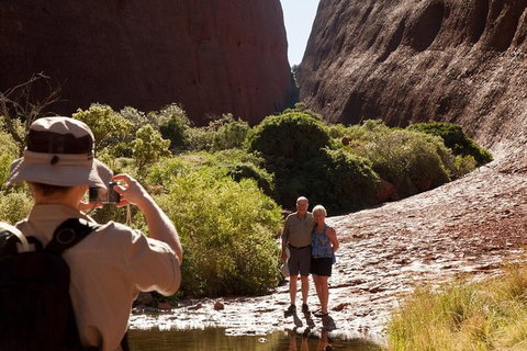 Afternoon Kata Tjuta Small Group Tour - Accommodation VIC 6