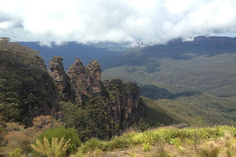 All-Inclusive Blue Mountains Tour In A Luxury Mercedes Sprinter - Accommodation VIC 11