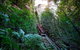 All-Inclusive Blue Mountains Tour In A Luxury Mercedes Sprinter - thumb 3