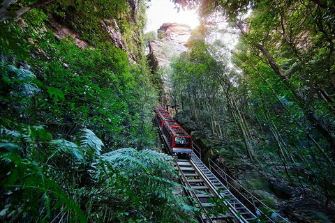 All-Inclusive Blue Mountains Tour In A Luxury Mercedes Sprinter - Accommodation VIC 3