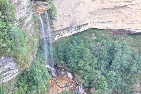 All-Inclusive Blue Mountains Tour In A Luxury Mercedes Sprinter - Accommodation VIC 17