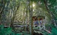 All-Inclusive Blue Mountains Tour In A Luxury Mercedes Sprinter - thumb 19
