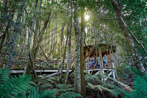 All-Inclusive Blue Mountains Tour In A Luxury Mercedes Sprinter - Accommodation VIC 19