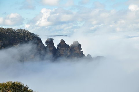 All-Inclusive Blue Mountains Tour In A Luxury Mercedes Sprinter - Accommodation VIC 15