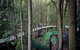 All-Inclusive Blue Mountains Tour In A Luxury Mercedes Sprinter - thumb 13