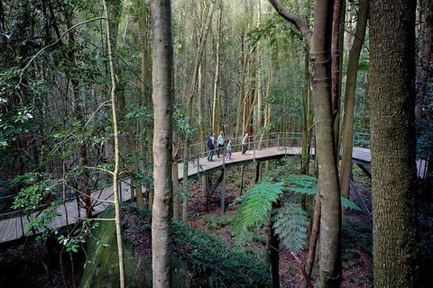 All-Inclusive Blue Mountains Tour In A Luxury Mercedes Sprinter - Accommodation VIC 13