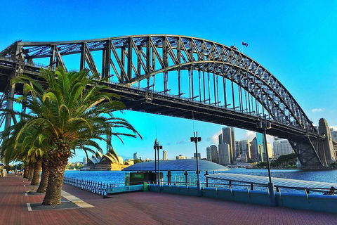 Half Day In Sydney With A Local: Private & Personalized - Accommodation VIC 10